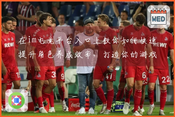 在im电竞平台入口上教你如何快速提升角色养成效率，打造你的游戏实力！