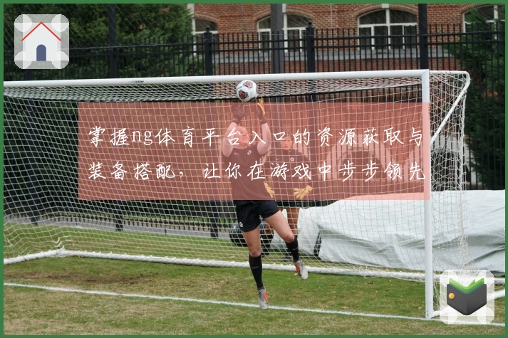 掌握ng体育平台入口的资源获取与装备搭配，让你在游戏中步步领先