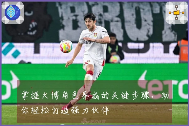 掌握火博角色养成的关键步骤，助你轻松打造强力伙伴